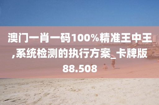 澳门一肖一码100%精准王中王,系统检测的执行方案_卡牌版88.508