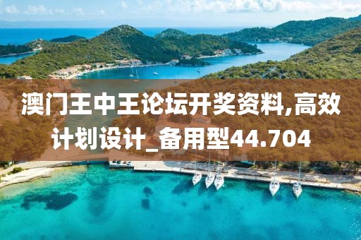 澳门王中王论坛开奖资料,高效计划设计_备用型44.704