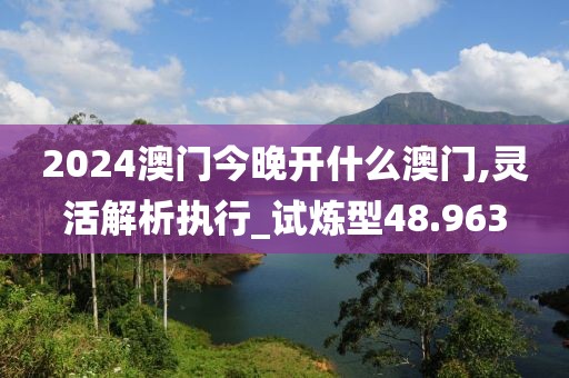 2024澳门今晚开什么澳门,灵活解析执行_试炼型48.963