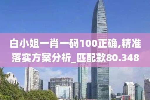 白小姐一肖一码100正确,精准落实方案分析_匹配款80.348