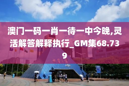 澳门一码一肖一待一中今晚,灵活解答解释执行_GM集68.739