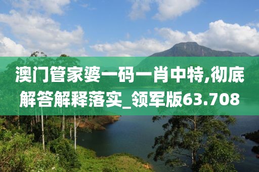 澳门管家婆一码一肖中特,彻底解答解释落实_领军版63.708
