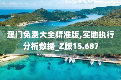澳门免费大全精准版,实地执行分析数据_Z版15.687