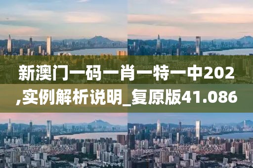 新澳门一码一肖一特一中202,实例解析说明_复原版41.086