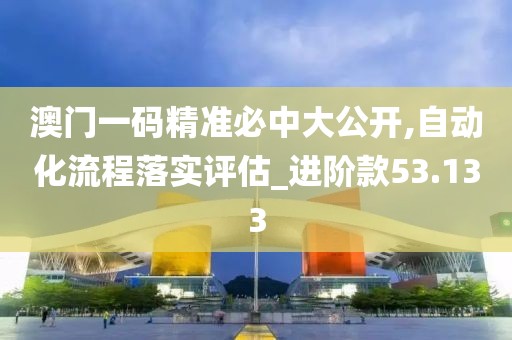 澳门一码精准必中大公开,自动化流程落实评估_进阶款53.133