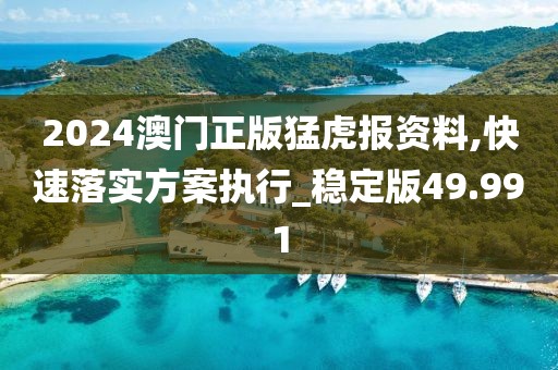 2024澳门正版猛虎报资料,快速落实方案执行_稳定版49.991