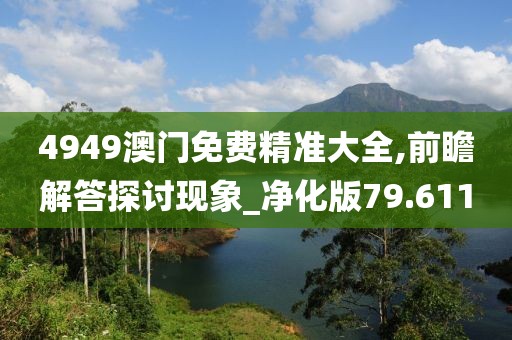 4949澳门免费精准大全,前瞻解答探讨现象_净化版79.611