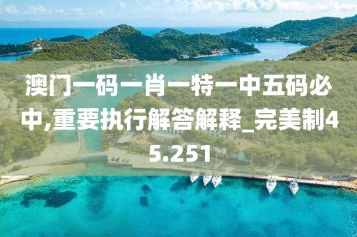 澳门一码一肖一特一中五码必中,重要执行解答解释_完美制45.251