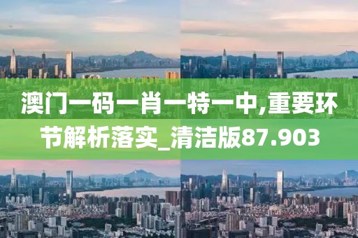 澳门一码一肖一特一中,重要环节解析落实_清洁版87.903