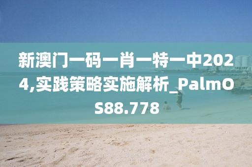 新澳门一码一肖一特一中2024,实践策略实施解析_PalmOS88.778