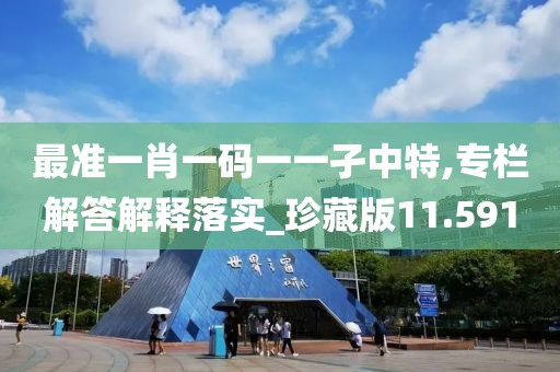 最准一肖一码一一孑中特,专栏解答解释落实_珍藏版11.591
