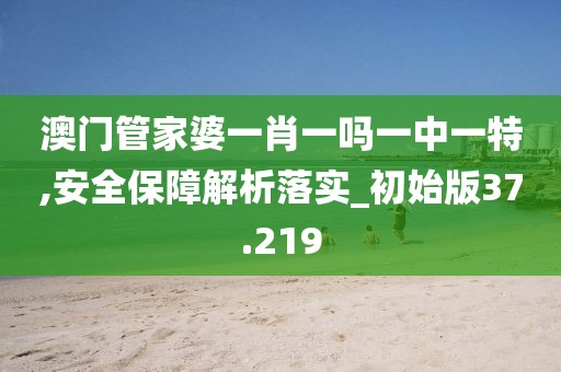 澳门管家婆一肖一吗一中一特,安全保障解析落实_初始版37.219