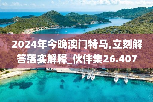 2024年今晚澳门特马,立刻解答落实解释_伙伴集26.407