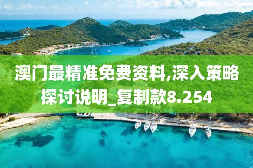 澳门最精准免费资料,深入策略探讨说明_复制款8.254