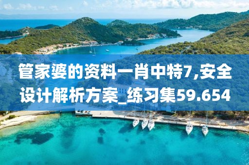管家婆的资料一肖中特7,安全设计解析方案_练习集59.654