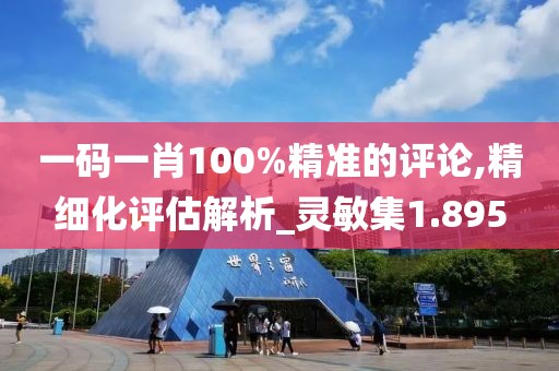 一码一肖100%精准的评论,精细化评估解析_灵敏集1.895