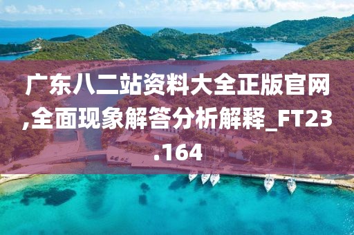 广东八二站资料大全正版官网,全面现象解答分析解释_FT23.164