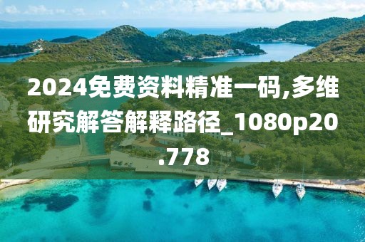 2024免费资料精准一码,多维研究解答解释路径_1080p20.778