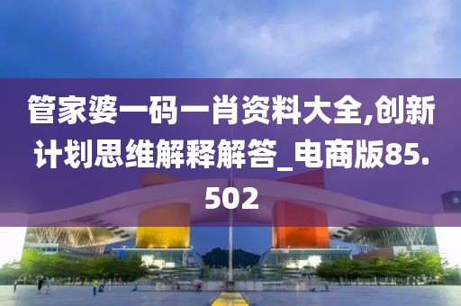 管家婆一码一肖资料大全,创新计划思维解释解答_电商版85.502