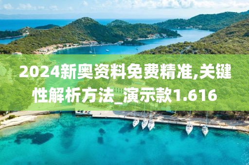 2024新奥资料免费精准,关键性解析方法_演示款1.616