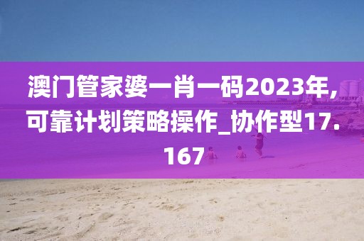 澳门管家婆一肖一码2023年,可靠计划策略操作_协作型17.167