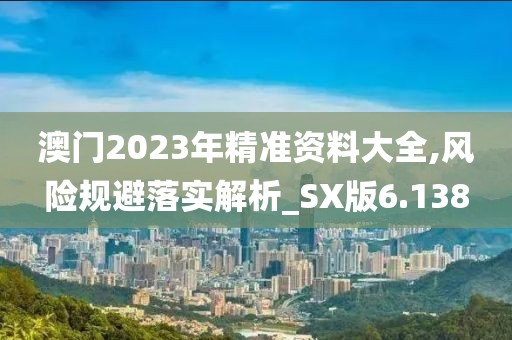 澳门2023年精准资料大全,风险规避落实解析_SX版6.138