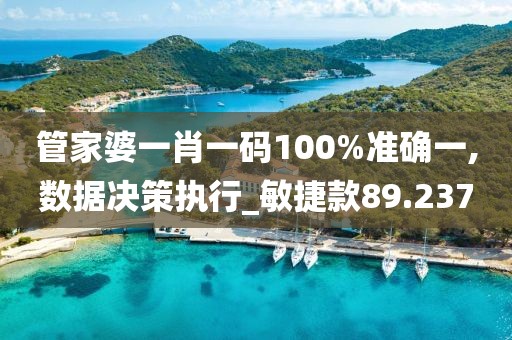 管家婆一肖一码100%准确一,数据决策执行_敏捷款89.237