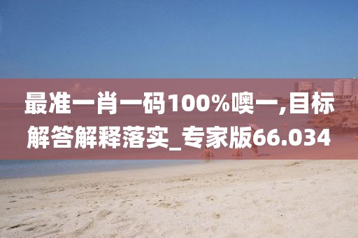 最准一肖一码100%噢一,目标解答解释落实_专家版66.034