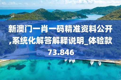 新澳门一肖一码精准资料公开,系统化解答解释说明_体验款73.846