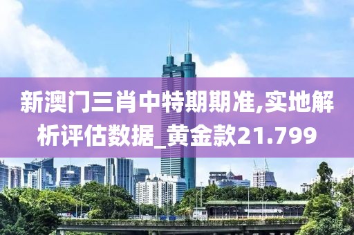 新澳门三肖中特期期准,实地解析评估数据_黄金款21.799