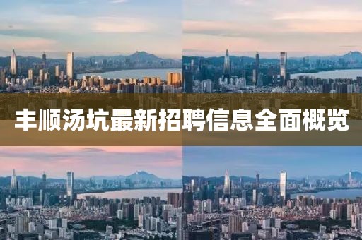 丰顺汤坑最新招聘信息全面概览