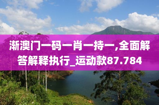 渐澳门一码一肖一持一,全面解答解释执行_运动款87.784