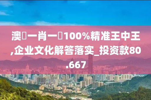 澳門一肖一碼100%精准王中王,企业文化解答落实_投资款80.667