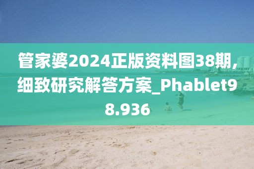管家婆2024正版资料图38期,细致研究解答方案_Phablet98.936