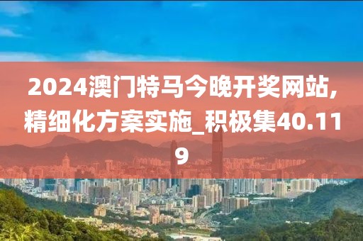 2024澳门特马今晚开奖网站,精细化方案实施_积极集40.119