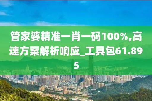 管家婆精准一肖一码100%,高速方案解析响应_工具包61.895