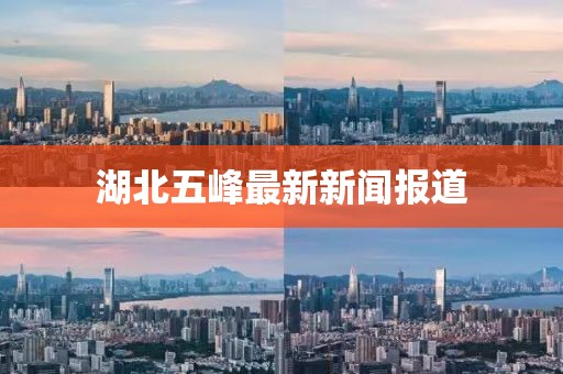 丟三落四 第84页