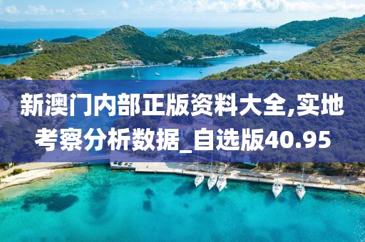 新澳门内部正版资料大全,实地考察分析数据_自选版40.95