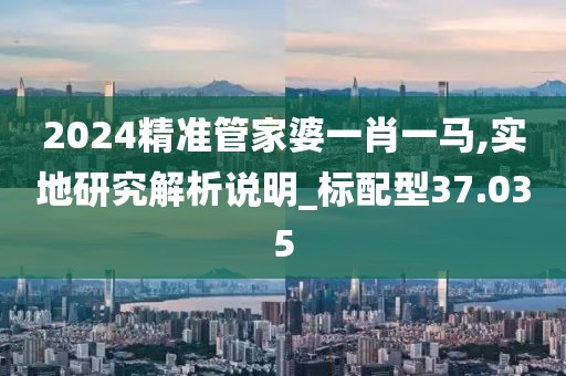 2024精准管家婆一肖一马,实地研究解析说明_标配型37.035