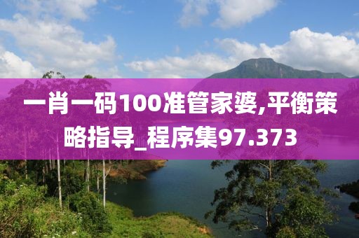 一肖一码100准管家婆,平衡策略指导_程序集97.373