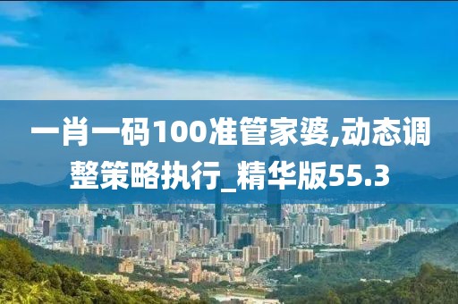 一肖一码100准管家婆,动态调整策略执行_精华版55.3