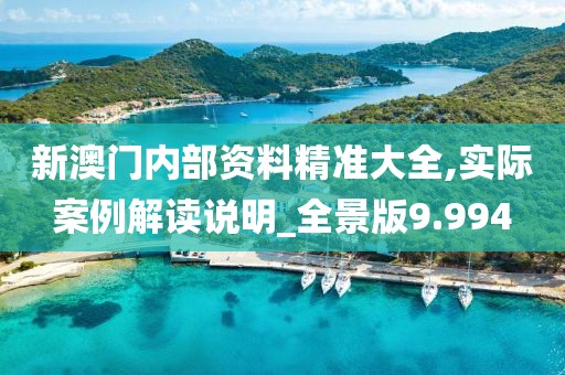 新澳门内部资料精准大全,实际案例解读说明_全景版9.994