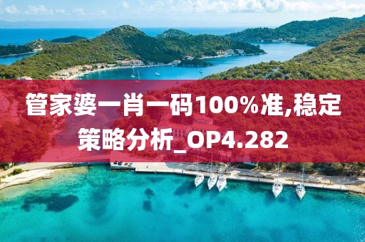 管家婆一肖一码100%准,稳定策略分析_OP4.282