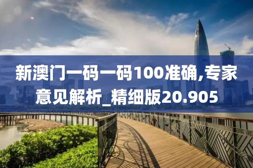 新澳门一码一码100准确,专家意见解析_精细版20.905