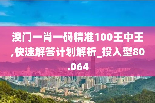 溴门一肖一码精准100王中王,快速解答计划解析_投入型80.064