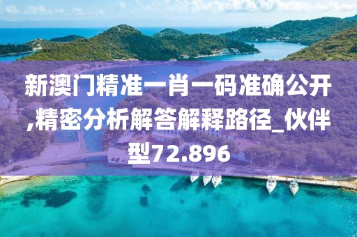 新澳门精准一肖一码准确公开,精密分析解答解释路径_伙伴型72.896