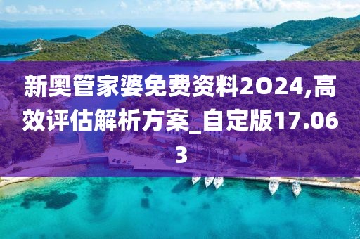 新奥管家婆免费资料2O24,高效评估解析方案_自定版17.063