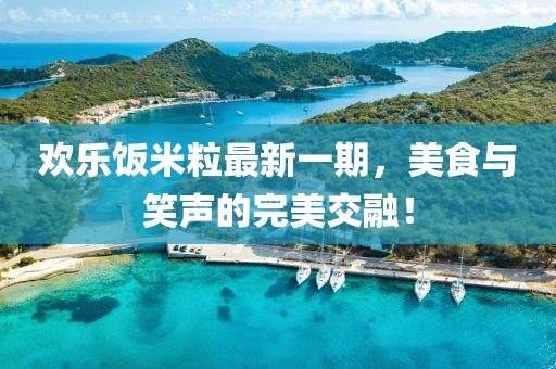 欢乐饭米粒最新一期，美食与笑声的完美交融！