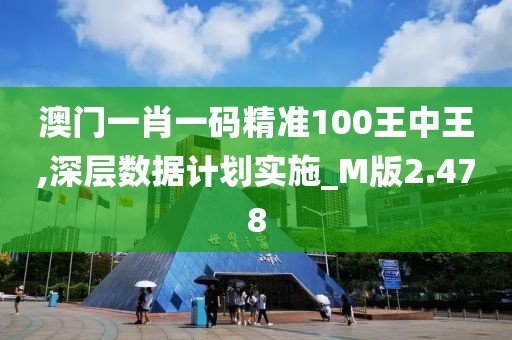 澳门一肖一码精准100王中王,深层数据计划实施_M版2.478