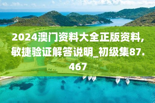 2024澳门资料大全正版资料,敏捷验证解答说明_初级集87.467